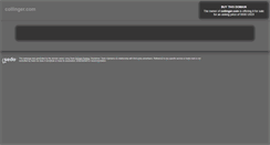 Desktop Screenshot of collinger.com